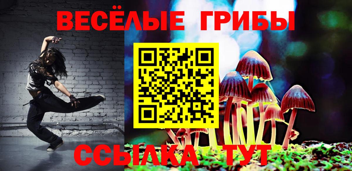 Псилоцибиновые грибы Psilocybine cubensis Камень-на-Оби