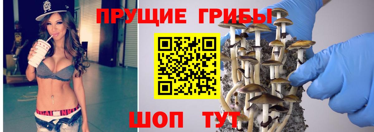 Галлюциногенные грибы мицелий  Вход с VPN  цена   Камень-на-Оби 