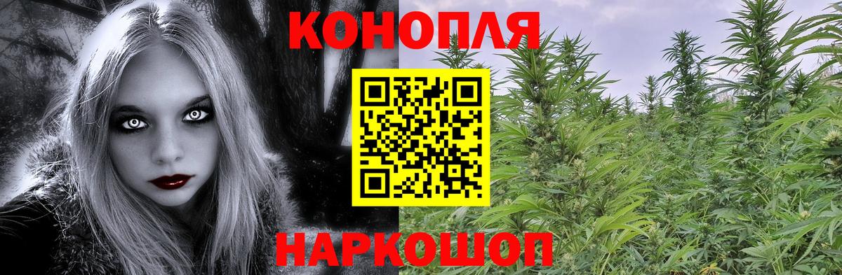 Бошки Шишки сатива Камень-на-Оби